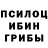Псилоцибиновые грибы Cubensis dt eh