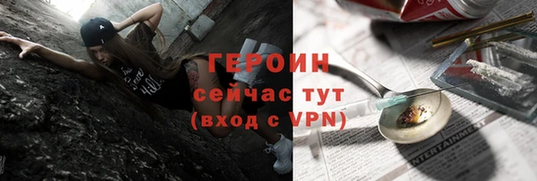 гидра Богданович