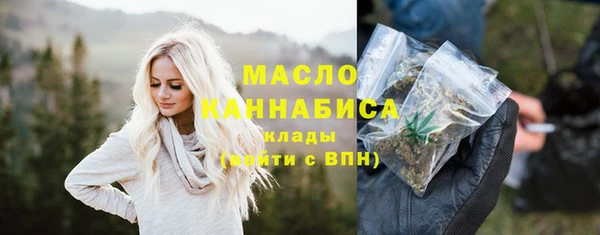 гидра Богданович