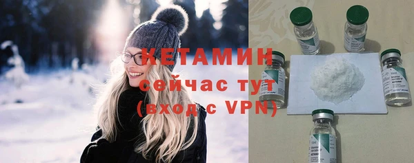 гидра Богданович