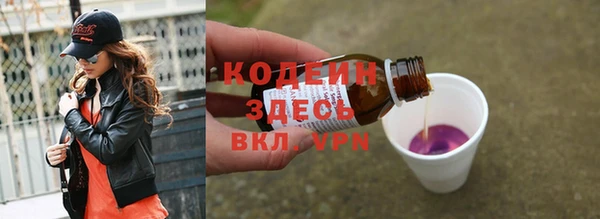 гидра Богданович