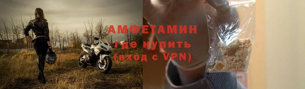гидра Богданович