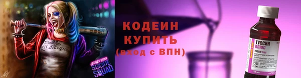 гидра Богданович