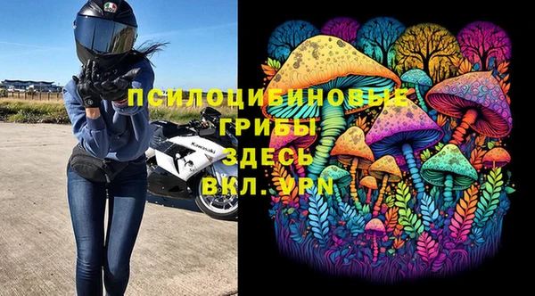 гидра Богданович