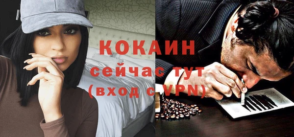 гидра Богданович