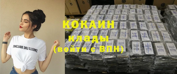 гидра Богданович