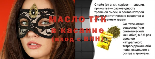 гидра Богданович