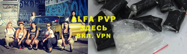 гидра Богданович